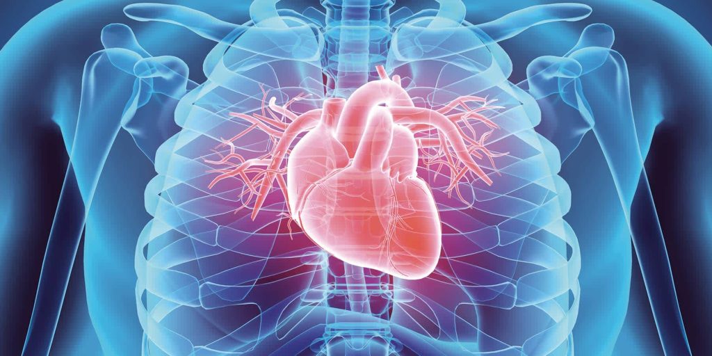 Early Signs of Heart Disease, Diabetes Management, and High Blood Pressure: A Comprehensive Guide